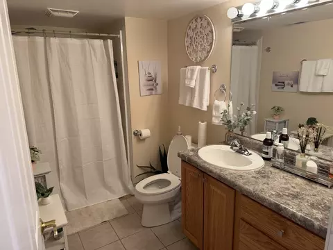 Bath - 3330 Oregon Trl, Olympia Fields, IL 60461 photo 3 of 3