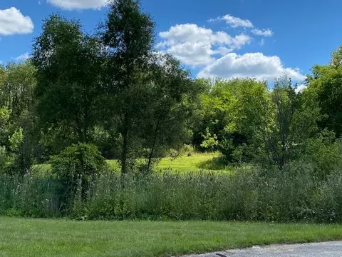 4223 Northgate Dr, Spring Grove, IL 60081 photo 9