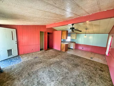 Living - 210 Park Ave, Flora, IL 62839 photo 2 of 3