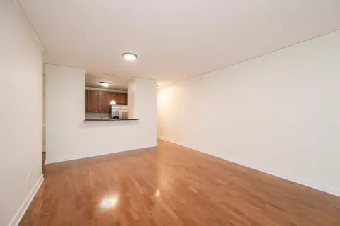 450 E Waterside Dr #705, Chicago, IL 60601 photo 9