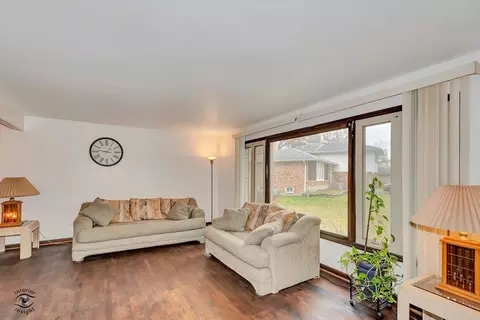 Living - 20535 Marathon Ct, Olympia Fields, IL 60461 photo 2 of 4