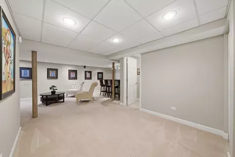 877 N Dovington Dr, Hoffman Estates, IL 60169 photo 50