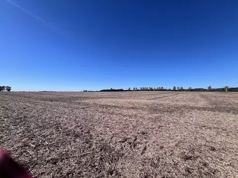 0000 White Pigeon Rd, Weldon, IL 61882 photo 6
