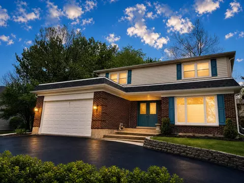 1039 W Whytecliff Rd, Palatine, IL 60067