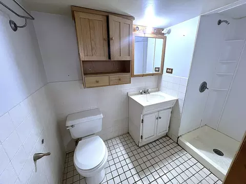 Bath - 3939 W 84th Pl, Chicago, IL 60652 photo 2 of 2