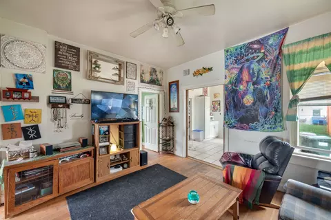 Living - 203 N Second St, Peotone, IL 60468 photo 1 of 3