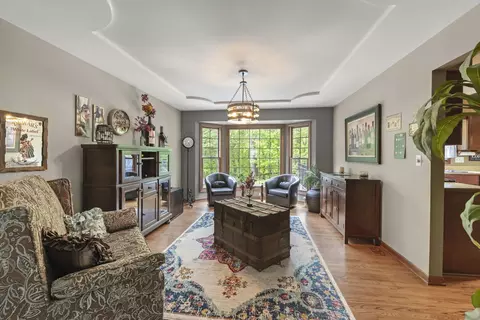 Living - 17004 Arbor Creek Dr, Plainfield, IL 60586 photo 2 of 3