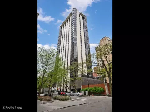 1310 N Ritchie Ct #11C, Chicago, IL 60610