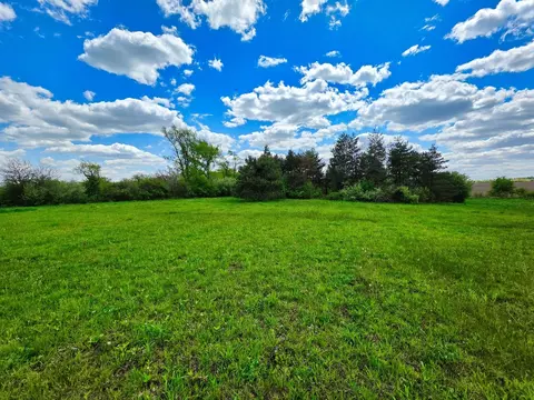 1947 E Steger Rd, Crete, IL 60417