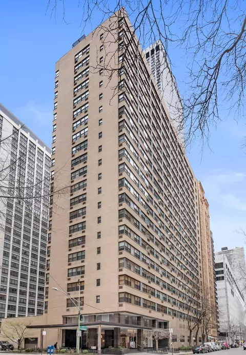 850 N Dewitt Pl #7E, Chicago, IL 60611
