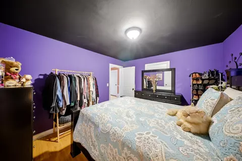 Other - 821 Larkin Ave, Elgin, IL 60123 photo 10 of 30
