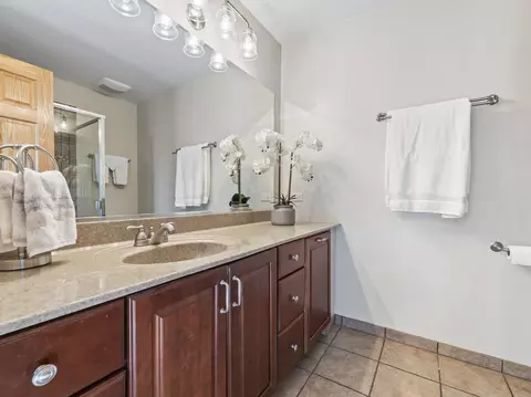 Bath - 1432 Brahms Ct, Bartlett, IL 60103 photo 2 of 5