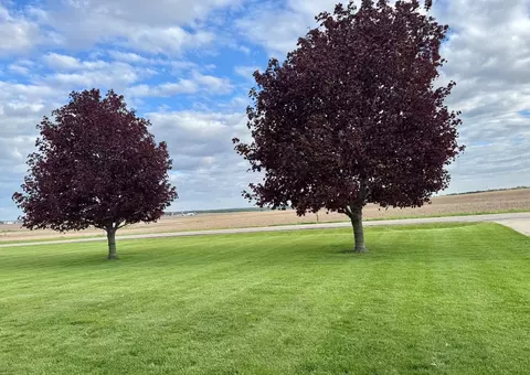 Exterior - 13818 Thayer Rd, Hebron, IL 60034 photo 11 of 18