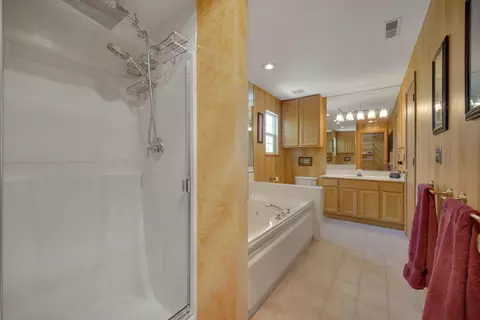 Bath - 4730 W Lilac Ave, Monee, IL 60449 photo 3 of 5