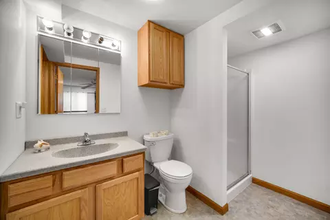 Bath - 4730 W Lilac Ave, Monee, IL 60449 photo 5 of 5