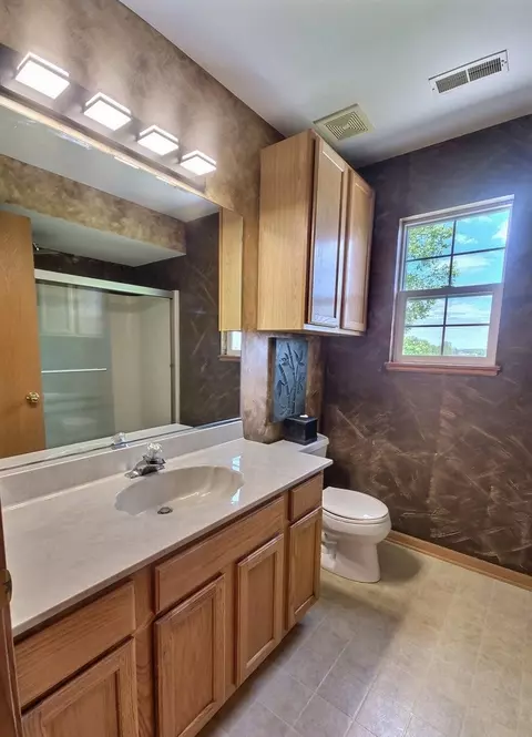 Bath - 4730 W Lilac Ave, Monee, IL 60449 photo 4 of 5
