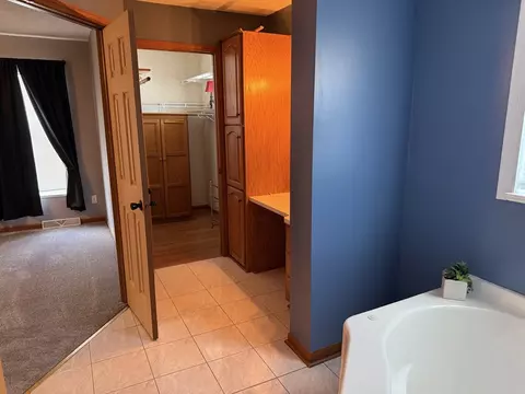 5127 Lucille Dr, Monee, IL 60449 photo 9