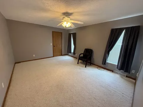 5127 Lucille Dr, Monee, IL 60449 photo 14