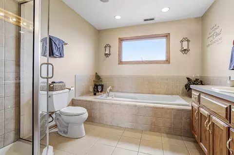 Bath - 19142 Brompton Ct, Mokena, IL 60448 photo 2 of 3