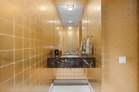 Bath - 159 E Walton Pl #12D, Chicago, IL 60611 photo 4 of 5