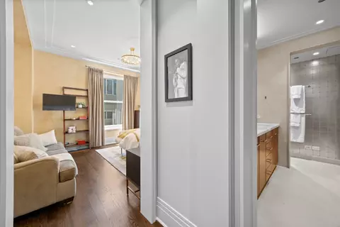 Entry Way - 159 E Walton Pl #12D, Chicago, IL 60611 photo 3 of 3