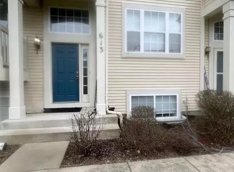 613 Lincoln Station Dr #613, Oswego, IL 60543