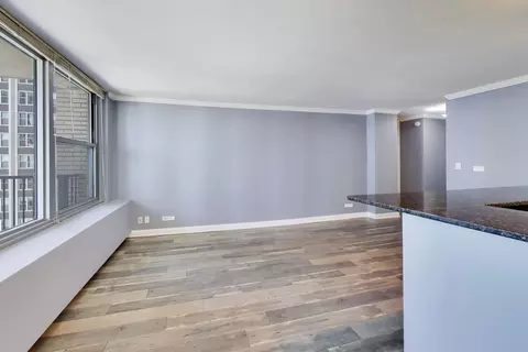 Living - 400 E Randolph St #1727, Chicago, IL 60601 photo 3 of 9