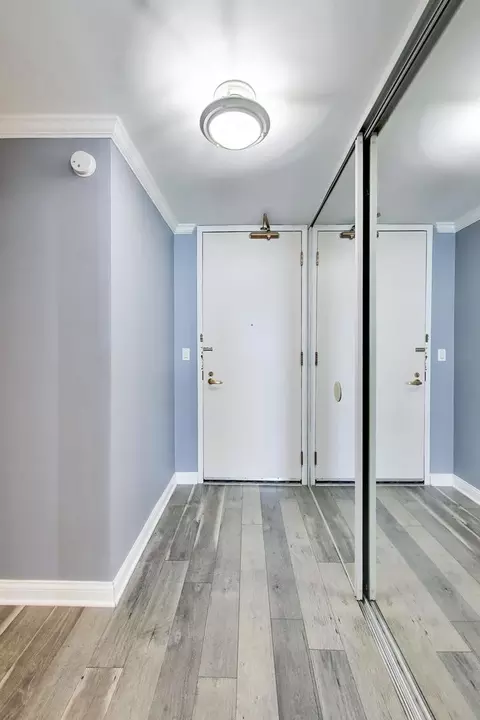 Entry Way - 400 E Randolph St #1727, Chicago, IL 60601 photo 2 of 3