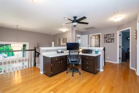 Entry Way - 541 N 4th Ave, Addison, IL 60101 photo 3 of 4