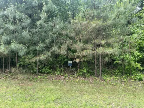 lot147 Parrish Rdg, Goreville, IL 62939