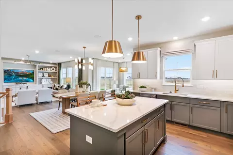 Kitchen - 12941 S Platte Trl, Plainfield, IL 60585 photo 6 of 6