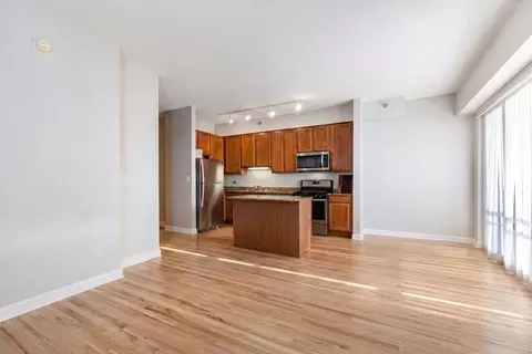 Living - 41 E 8th St #1805, Chicago, IL 60605 photo 5 of 6