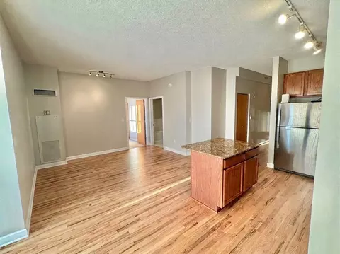 Living - 41 E 8th St #1805, Chicago, IL 60605 photo 3 of 6