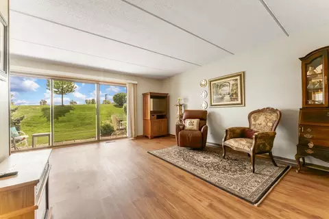 Living - 245 Windsor Ln #B, Willowbrook, IL 60527 photo 2 of 3