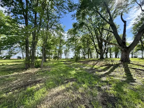 1971 County Road 1200 N, Sidney, IL 61877