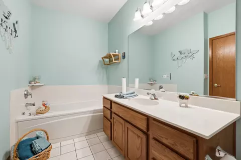 Bath - 21312 W Douglas Ln, Plainfield, IL 60544 photo 3 of 4