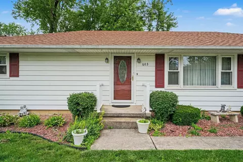 603 Orchard Ln, Beecher, IL 60401 photo 4