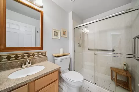 Bath - 21626 W Larch Dr, Plainfield, IL 60544 photo 3 of 4