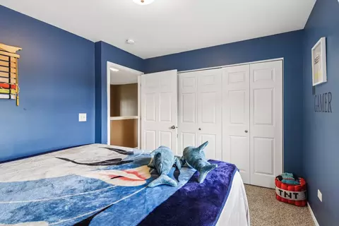Other - 116 Ash Dr, Bolingbrook, IL 60490 photo 6 of 17