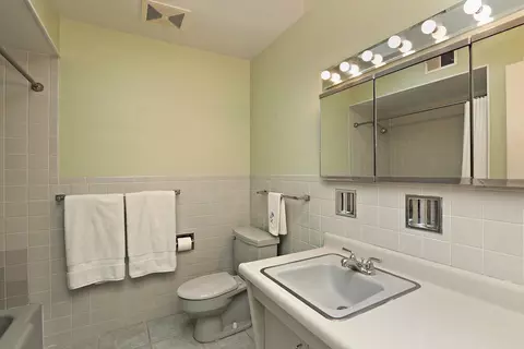 Bath - 1504 Sequoia Trl, Glenview, IL 60025 photo 3 of 3