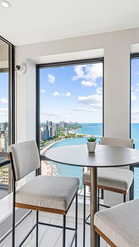 260 E Chestnut St #314, Chicago, IL 60611 photo 18
