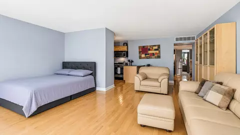 260 E Chestnut St #314, Chicago, IL 60611 photo 6