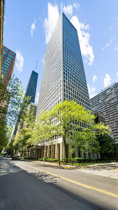 260 E Chestnut St #314, Chicago, IL 60611