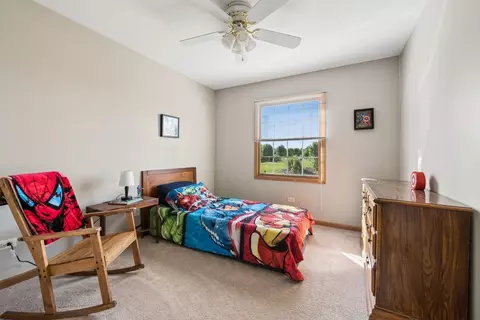 Bedroom - 25137 Vermette Rd, Plainfield, IL 60585 photo 4 of 5