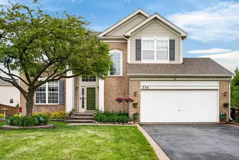 230 Vail Ct, Gilberts, IL 60136