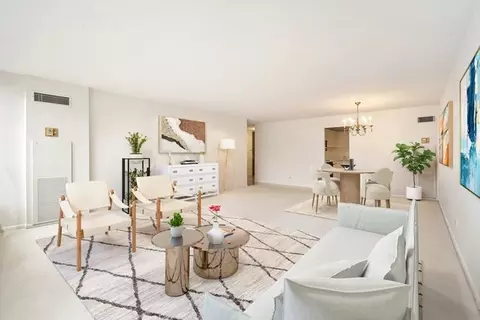 Living - 110 E Delaware Pl #704, Chicago, IL 60611 photo 2 of 7