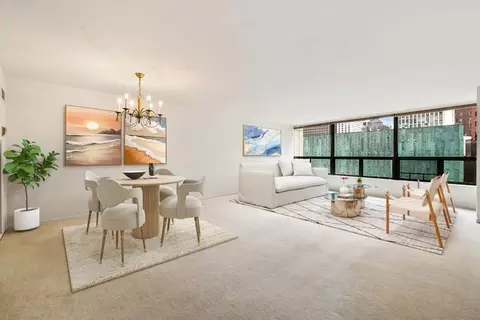 Other - 110 E Delaware Pl #704, Chicago, IL 60611 photo 2 of 5
