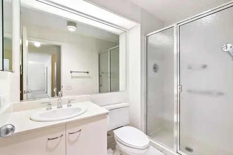 Bath - 110 E Delaware Pl #704, Chicago, IL 60611 photo 2 of 3