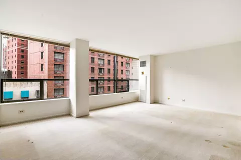 Living - 110 E Delaware Pl #704, Chicago, IL 60611 photo 4 of 7