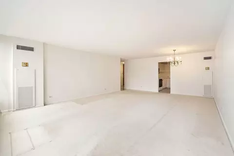 Living - 110 E Delaware Pl #704, Chicago, IL 60611 photo 3 of 7